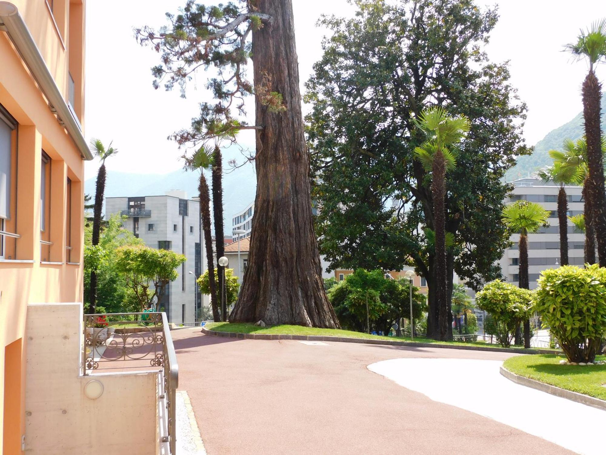Hotel Casa Santa Birgitta Lugano Zewnętrze zdjęcie