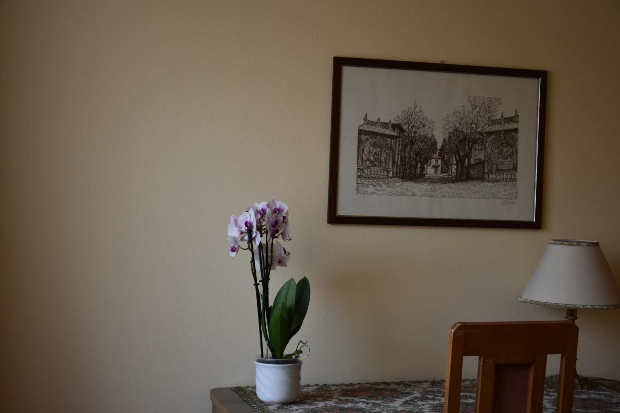 Hotel Casa Santa Birgitta Lugano Zewnętrze zdjęcie